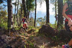 BIB: 
                            <button type="button" onclick="openModal(18916774)" class="btn btn-primary btn-sm float-right btn-popup" data-toggle="modal" data-target=".modal-high-quality">
                        <i class="fas fa-shopping-cart"></i> Add to Cart
                    </button>
                                            <button type="button" onclick="isThisMe(18916774, true)" class="btn btn-success btn-sm float-right btn-popup btn-isme hidden" data-toggle="tooltip" data-placement="bottom" title="นี่คือรูปของคุณใช่ไหม คลิกที่นี่เพื่อเอาเข้าอัลบั้ม">
                        <i class="fas fa-plus"></i> Add to album
                    </button>
                    <button type="button" onclick="isThisMe(18916774, false)" class="btn btn-warning btn-sm float-right btn-popup btn-isnotme hidden">
                        <i class="fas fa-ban"></i> Remove from album
                    </button>